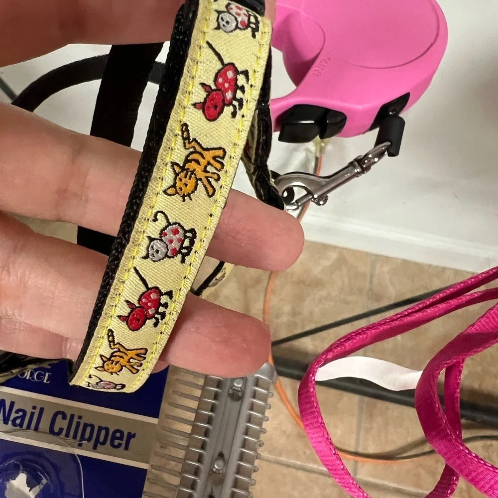 Pet accessories bundle